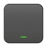 Выключатель 1-кл. ОП Blanca 10А IP20 (сх. 1) 250В с подсветкой с изолир. пластиной антрацит SE