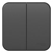 Выключатель 2-кл. ОП Blanca 10А IP20 (сх. 5) 250В с изолир. пластиной антрацит SE