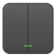 Выключатель 2-кл. ОП Blanca 10А IP20 (сх. 5) 250В с подсветкой с изолир. пластиной антрацит SE