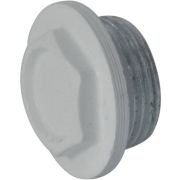 Пробка глух Ду25 (1