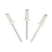 Заклепка вытяжная DM 3,2*8 RAL 9003 (сигнальный белый) (1000шт)