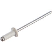 Заклепка вытяжная DM 4,8*12 RAL 9003 (сигнальный белый)