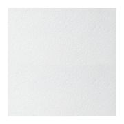 Плита потолочная Armstrong Retail, кромка Tegular24, 600х600х14 мм (16 шт.)